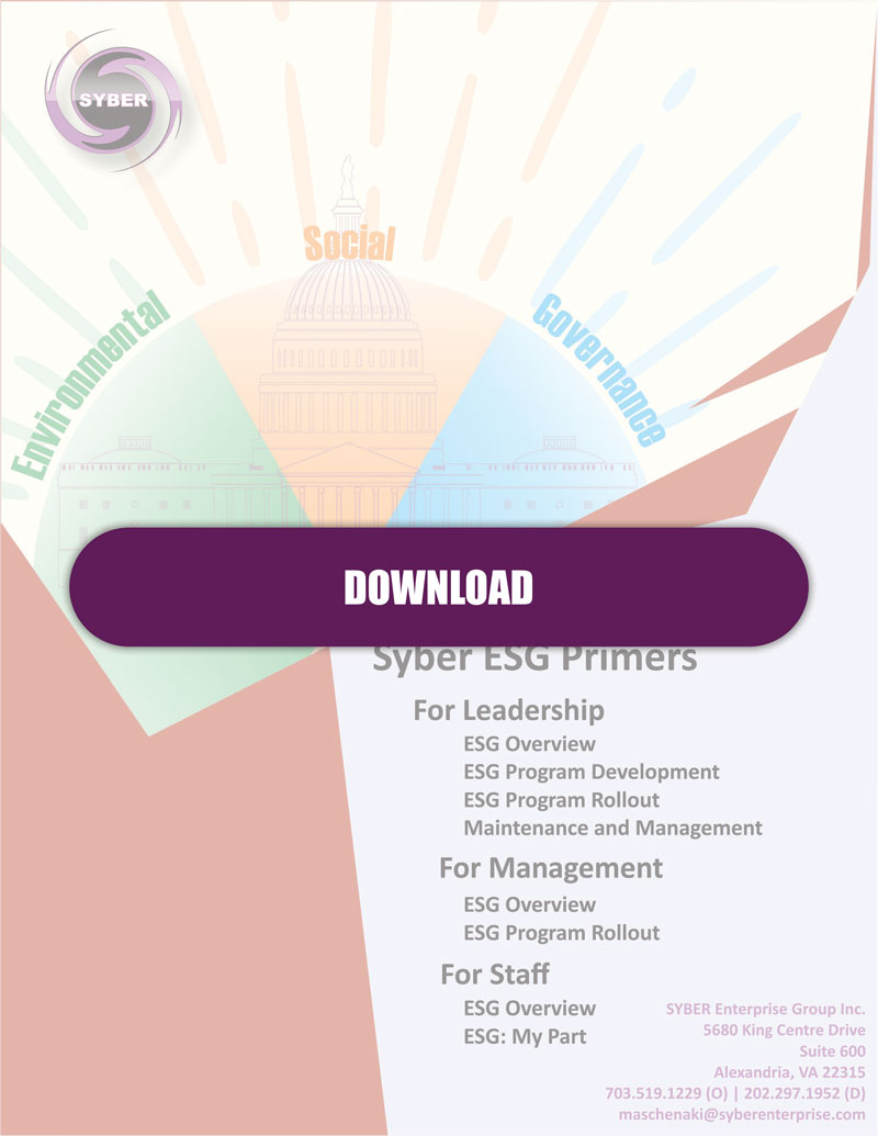 Syber ESG Flyer